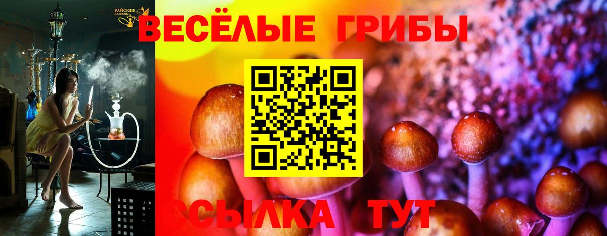 Псилоцибиновые грибы прущие грибы Сочи
